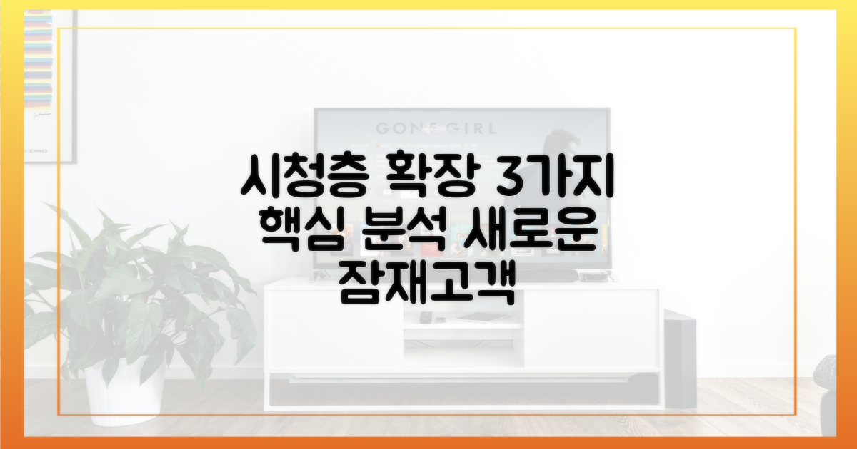 3가지 시청층 확장 분석