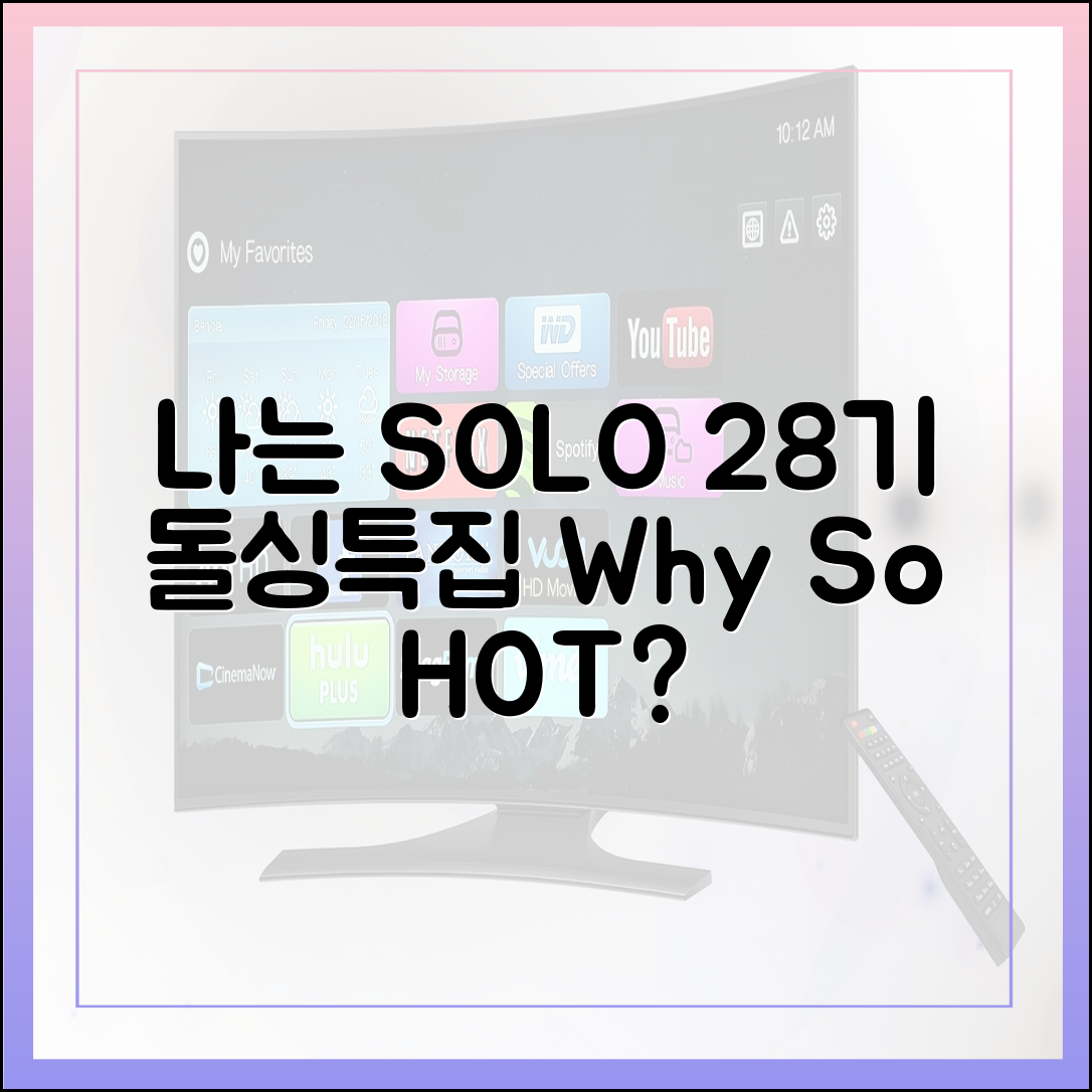 방송 미디어 전문가가 분석한 '나는 SOLO' 28기 인기 비결 (돌싱특집)