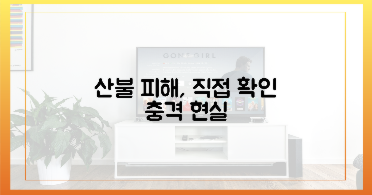산불 피해, 직접 확인하세요