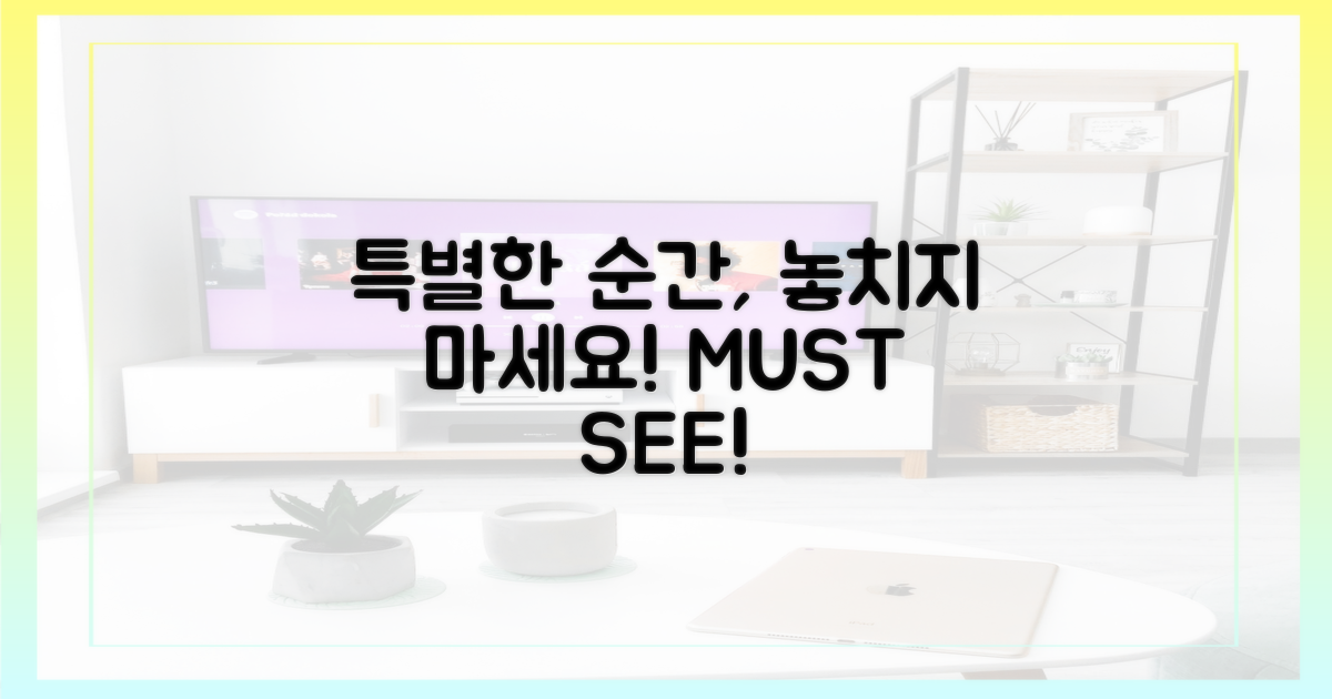 놓치지 말아야 할 특별한 순간들