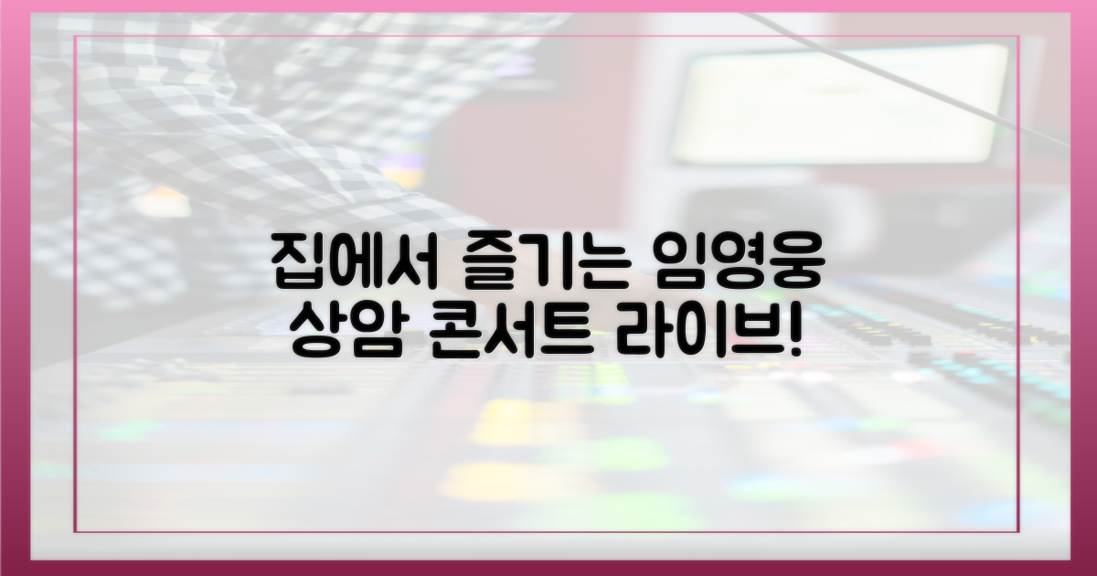 집에서 보는 임영웅 상암 콘서트