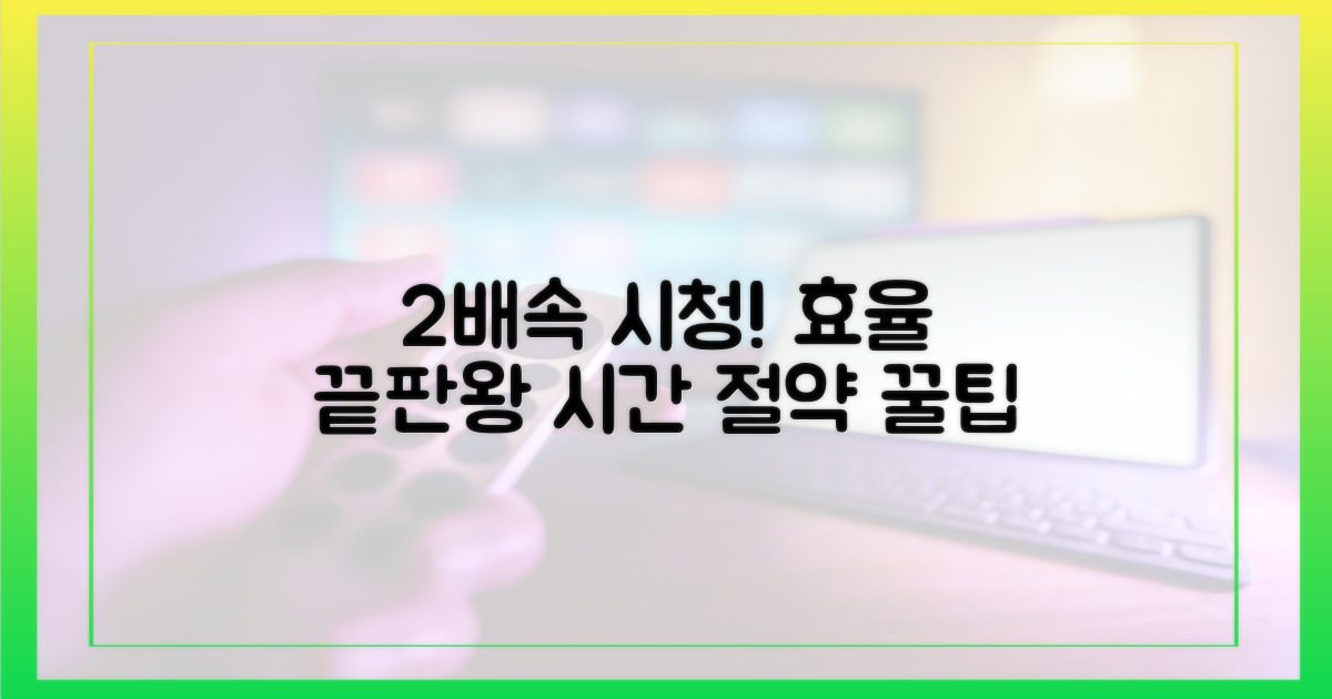2배속 시청 효율 극대화