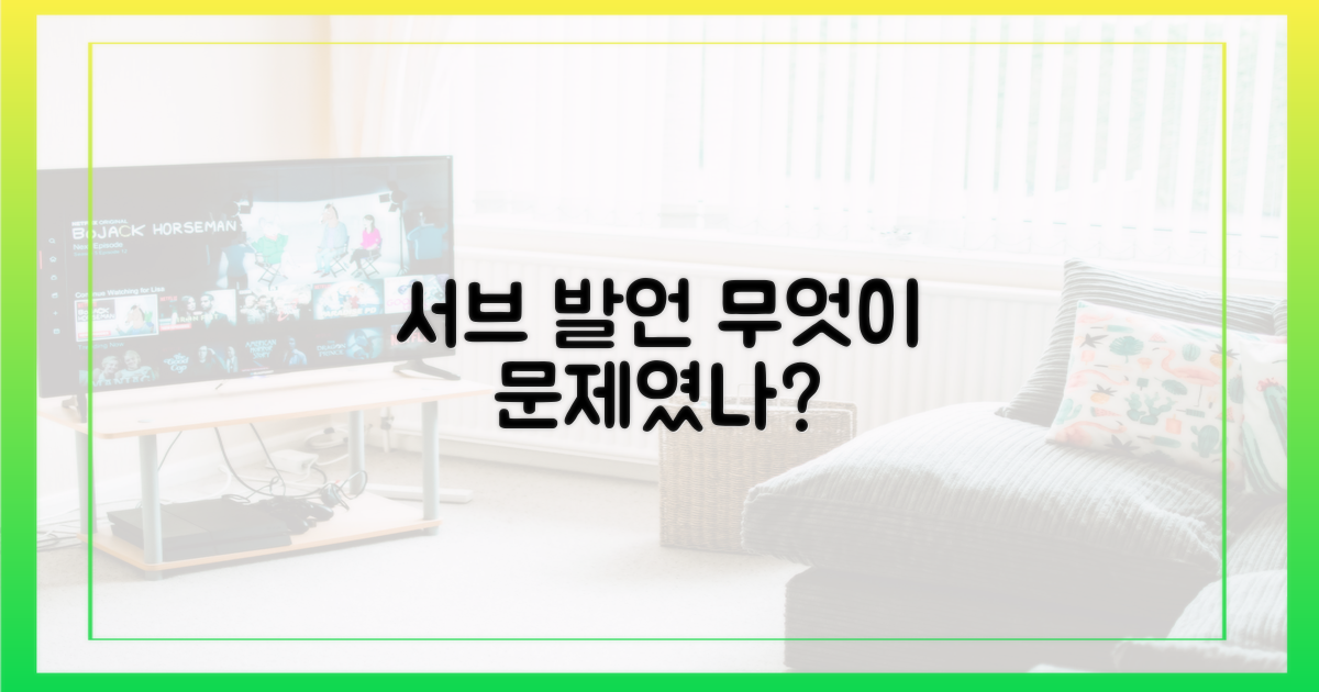 서브' 발언, 뭐가 문제였나?