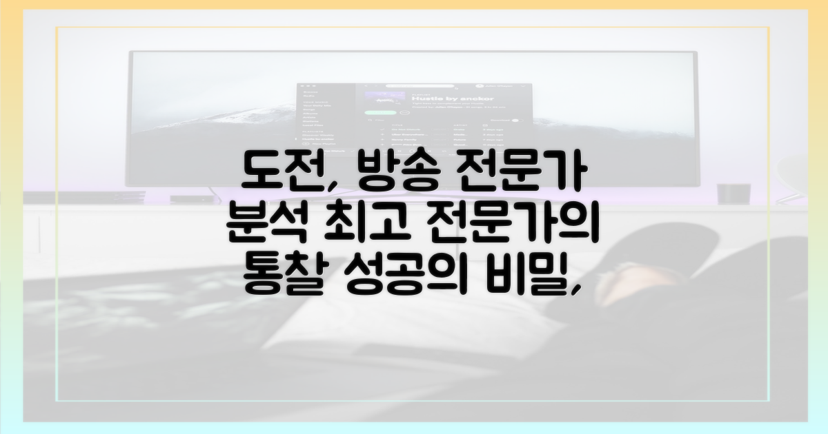 끊임없는 도전, 방송 전문가 분석