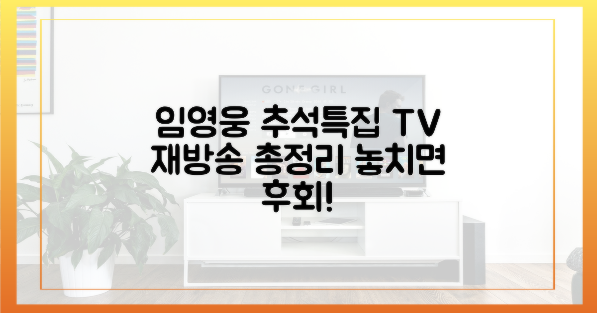 임영웅 추석특집, TV 재방송 총정리