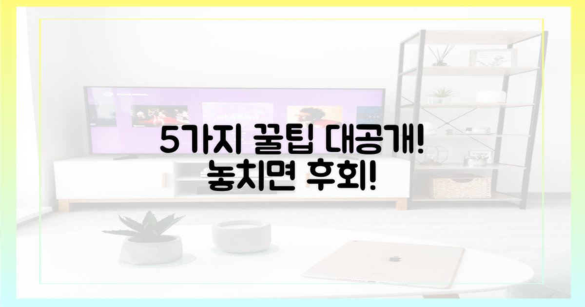 5가지 관람 꿀팁