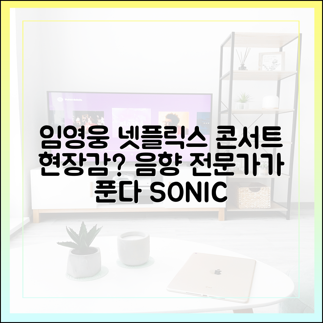 넷플릭스 임영웅 콘서트, 과연 현장감을 얼마나 구현했을까? (음향 전문가 리뷰)