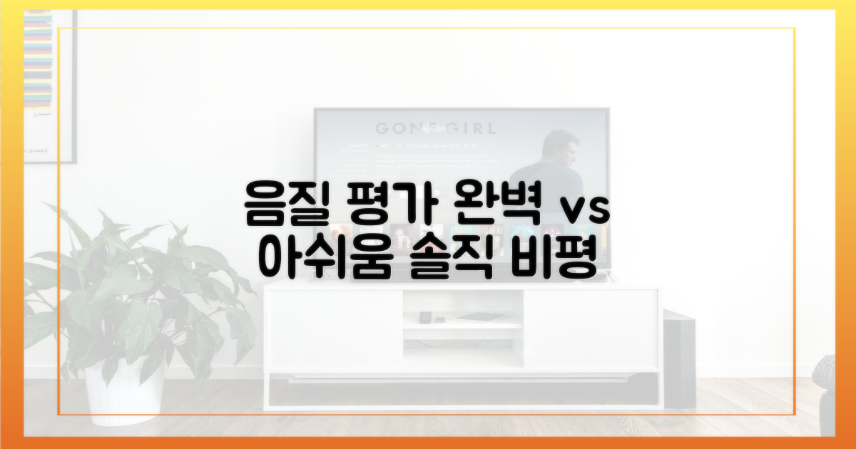 음질 비평: 완벽과 아쉬움 사이