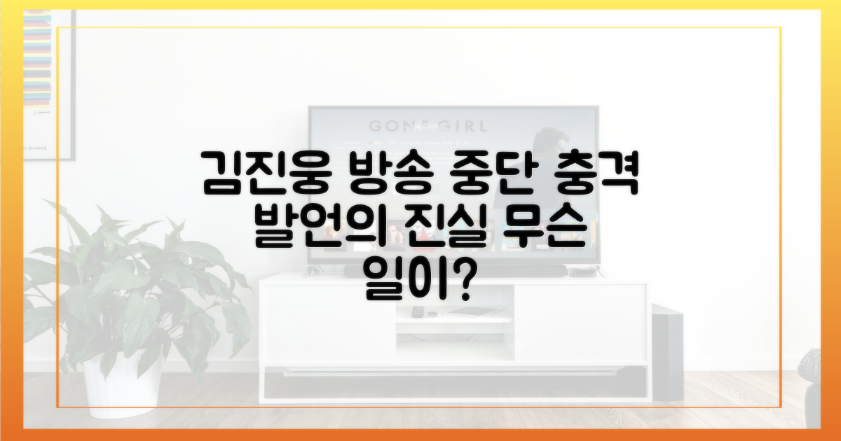 김진웅 발언, 방송 중단 배경?