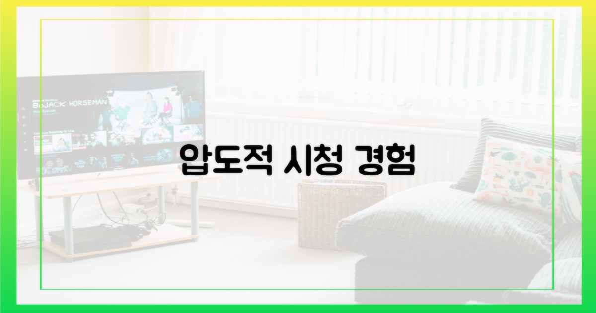 기대되는 시청 경험