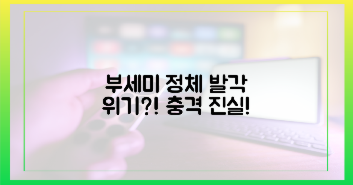 부세미 정체, 발각될까?
