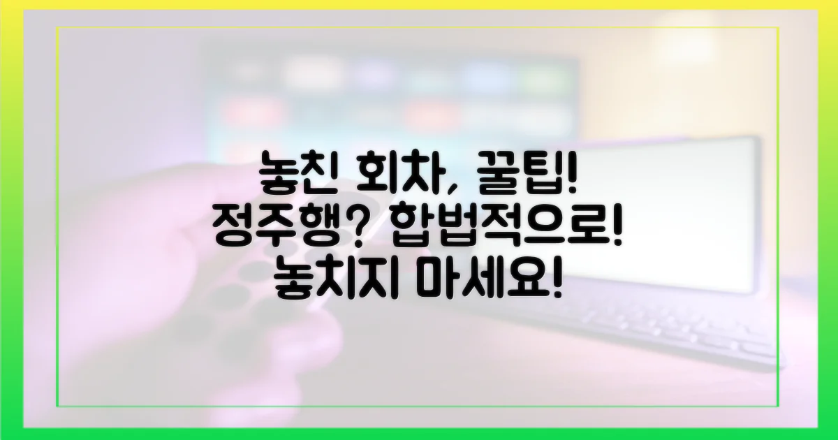 놓친 회차, 합법적으로 즐기기