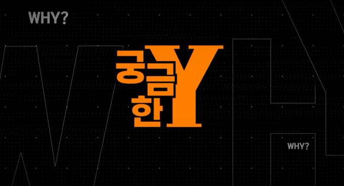 궁금한 이야기 Y
