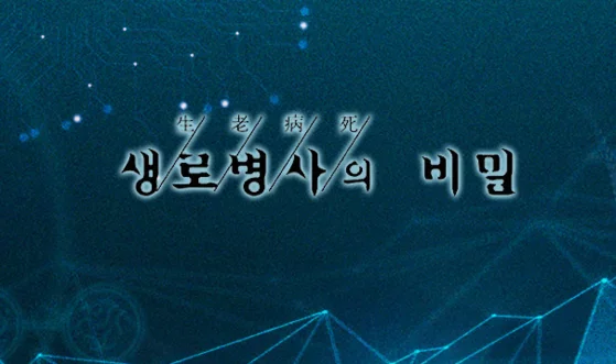 생로병사의 비밀