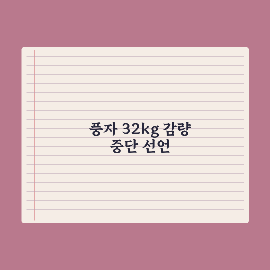 풍자 32㎏ 빼놓고 제주서 다이어트 중단 선언 심층분석, 3가지 핵심정리