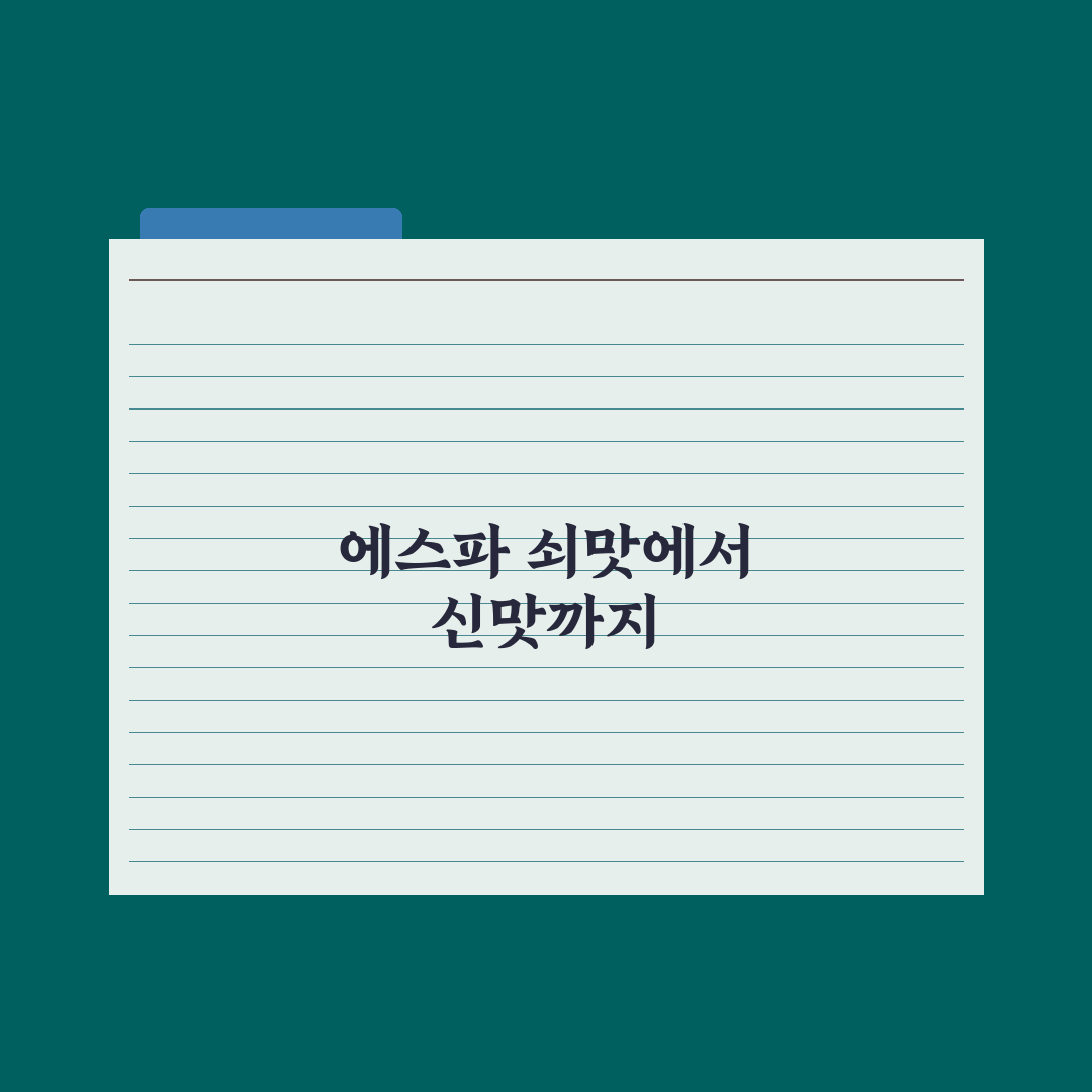 '쇠맛 대명사' 에스파