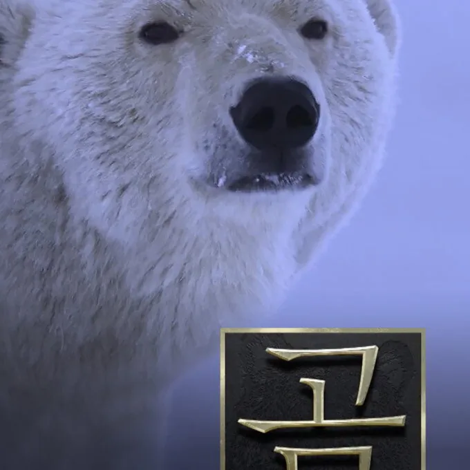 곰 MBC 명품 다큐 라인업 비교와 차별성