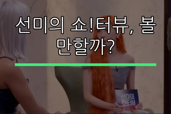 선미의 쇼!터뷰, 볼 만할까?