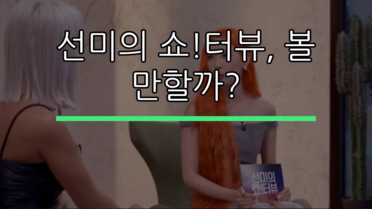 선미의 쇼!터뷰, 볼 만할까?
