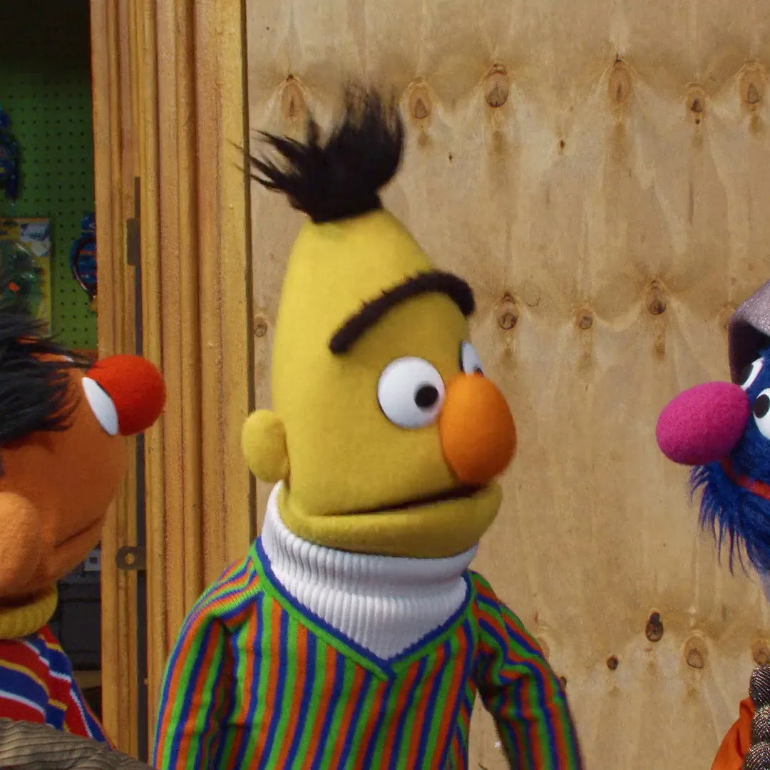 Storm on Sesame Street 재난을 마주한 세서미 마을의 이야기와 줄거리