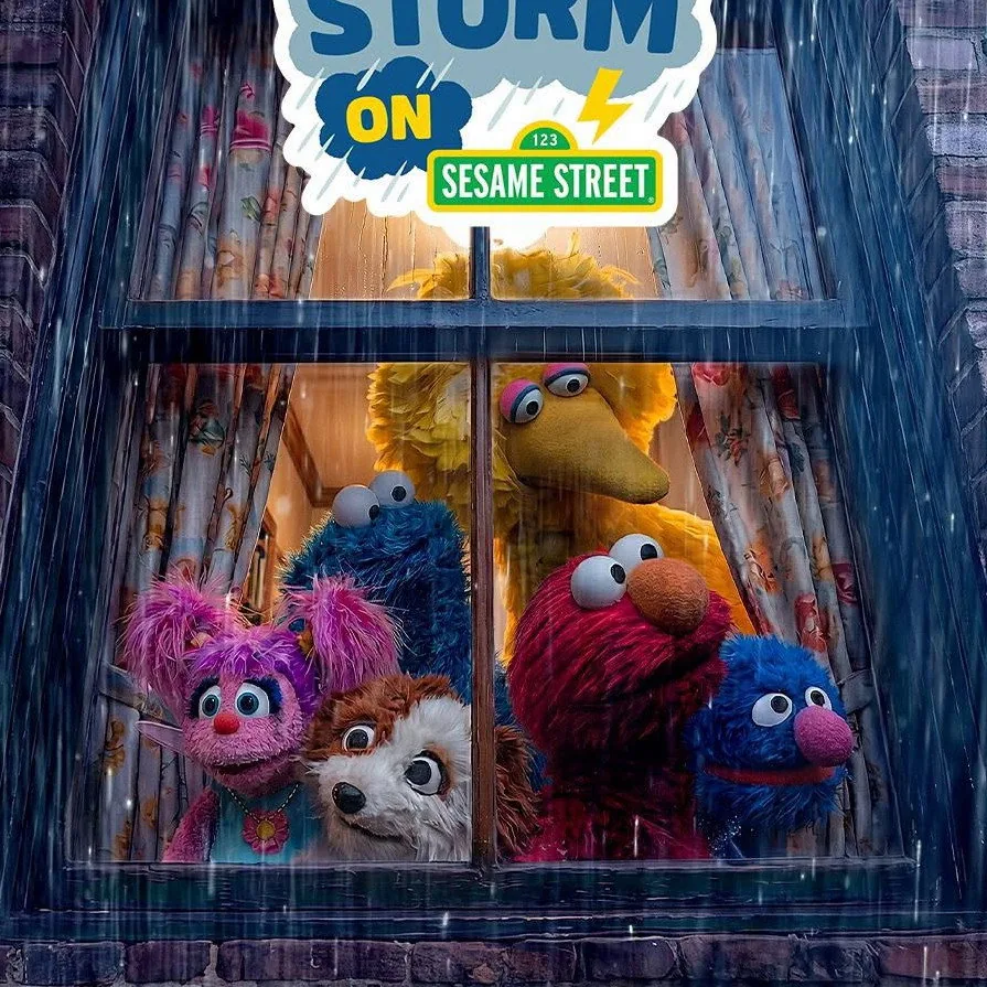 Storm on Sesame Street 작품의 아쉬운 점과 시청 시 주의사항