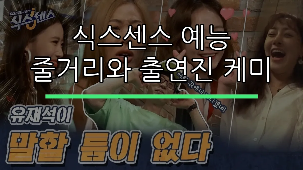 식스센스 예능 줄거리와 출연진 케미